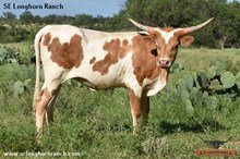 SEL STAMP OF APPROVAL