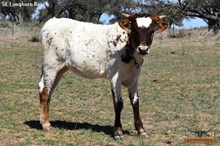 SEL REB'S AWESOME KISS